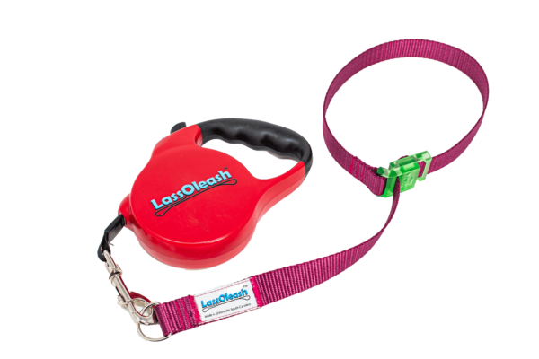 Burgandy XT