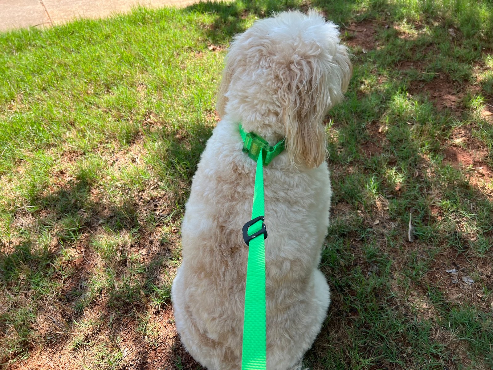 Traffic Control Hook