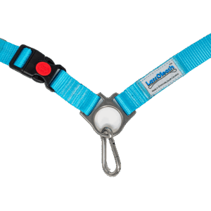 Turquoise HandsFree