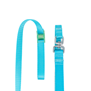 Turquoise LassOleash™ 3/4″
