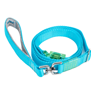 Turquoise LassOleash