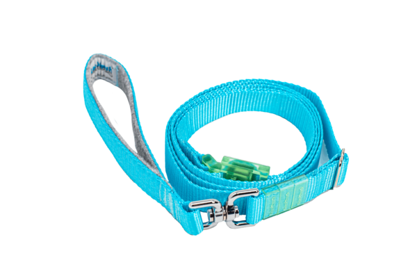 Turquoise LassOleash