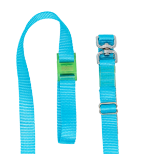 Turquoise LassOleash