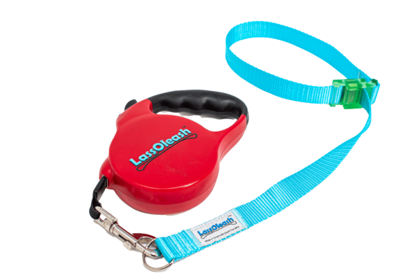 Turquoise XT